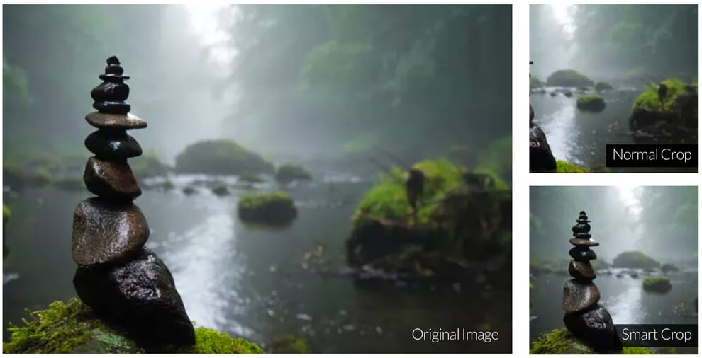 Using Responsive Website Images for a Better Cross-Device Experience 5